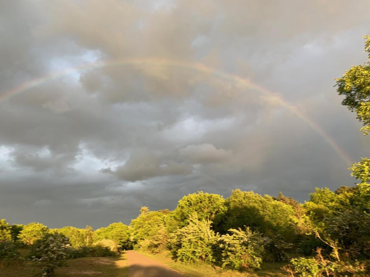 Eco Lodge Duin- Unieke Locatie -Strand, Duin En Nabij Cultuursteden カストリクム エクステリア 写真
