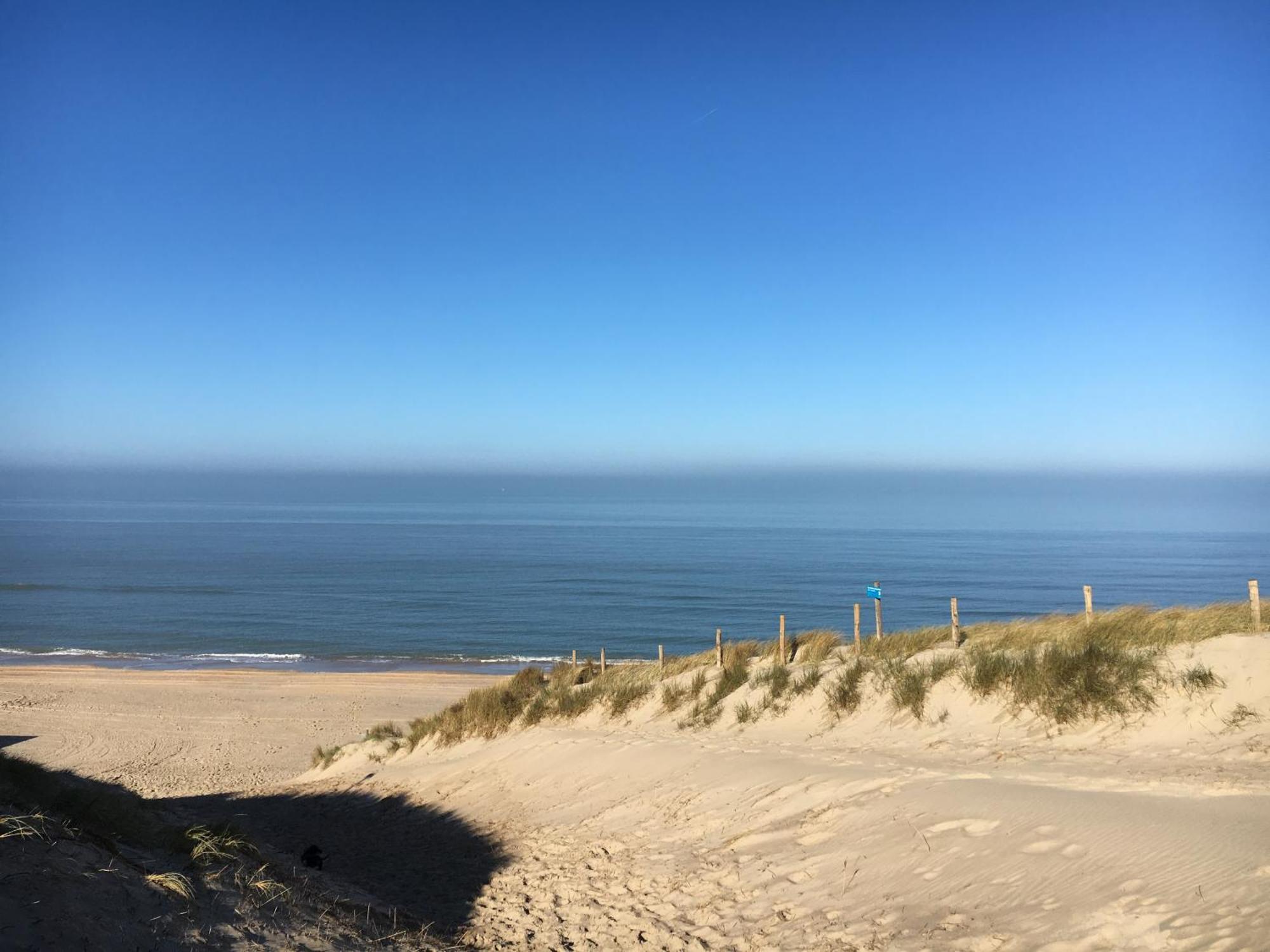 Eco Lodge Duin- Unieke Locatie -Strand, Duin En Nabij Cultuursteden カストリクム エクステリア 写真