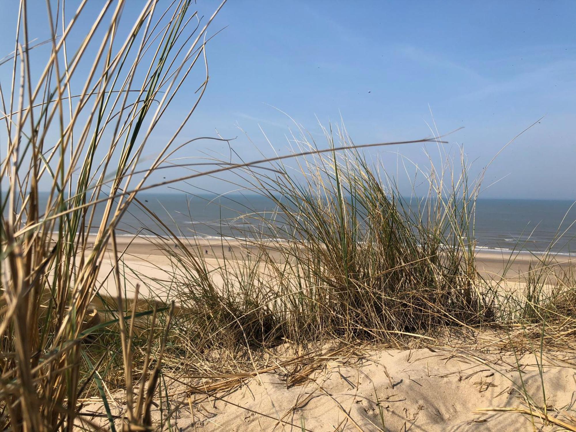 Eco Lodge Duin- Unieke Locatie -Strand, Duin En Nabij Cultuursteden カストリクム エクステリア 写真